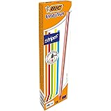 BIC Evolution Stripes Matite HB In Grafite - Fusto Rosso, Confezione Da 12