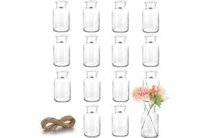 Lannvan Mini Glasvasen - 15er Set Kleine Vasen für Tischdeko Hochzeit - Deko Vasen Set mit Juteschnur - Kleine Glasvasen für Tischdeko - Verdicktes Anti Fall Glasvase - Spülmaschinenfest