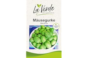 La Verde MEIN GARTEN UND ICH. Mäusegurke Samen für ca. 20 Pflanzen, exotische Klettergurke, erfrischend und vielseitig, Saatgut ohne Gentechnik