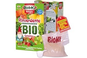 Bioki solfato di Ferro Monoidrato Naturale per Agricoltura Bio, Rinverdente astuccio da 900 g