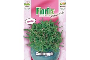 ORVITAL SPA - SEMI Santoreggia