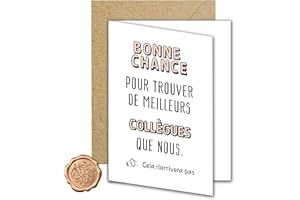 FloraVigo Carte de vœux cadeau pour collègue avec enveloppe « Bonne chance pour trouver de meilleurs collègues que nous » Cadeau de Noël pour la retraite carte de démission de collègue 14x10.5CM