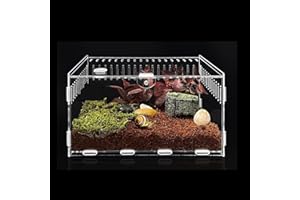 Topspitgo Terrarium à escargots en acrylique transparent - Boîte de transport pour escargots, araignées, geckos, hamsters, serpents, tortues, terrarium - Reptiles portables - 30 x 20 x 15 cm