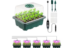 RÜK 5 Stück Mini Gewächshaus mit erhöhten Deckel, Setzling Starter mit Pflanzenlichter, Gewächshaus Klein Grow Zubehör, Tabletts Treibhaus Anzuchtschale Zimmergewächshaus Anzuchtkasten Set (Green-A)