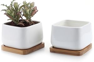 ‎T4U T4U 10CM Keramik Sukkulenten Töpfe Kaktus Pflanze Töpfe klein Blumentöpfe mit untersetzer Abgerundete Quadrat Weiß 2er Set