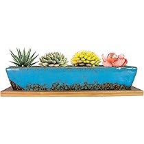 Grande Fioriera In Ceramica Succulenta Da 4 Pollici A 14 Pollici