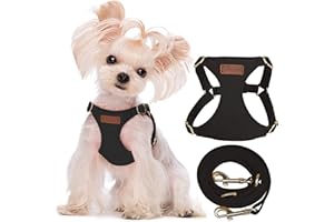 Puppytie Pettorina Cane Taglia Piccola con Guinzaglio per Cani - Morbida, Leggera, Regolabile, Senza Soffocamento, Antifuga, per Animali Domestici - Gilet per Cani - Nero, XXS, 0.5-3 kg