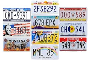 OPO 10 - Set di 10 targhe in Metallo per Auto USA - Replica di targhe Americane Reali (LF6)