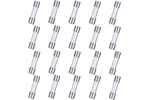 HUAREW F5AL250V 20 Pcs 5x20mm Fusible En Verre À Soufflage Rapide 5A 250V 0.2x0.78 pouce Fusible Temporisé (Paquet de 20 Pcs)