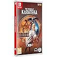 The Making of Karateka NS