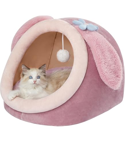 De leukste kattenbedden en kattengrotbedden