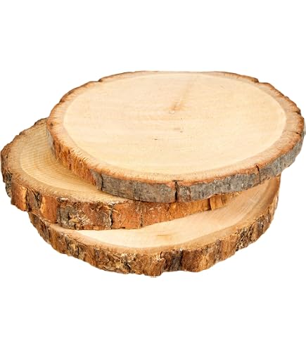Disque En Bois De Bouleau Naturel - Diamètre ~30 Cm, épaisseur 3 Cm - Pour Bricolage, Décoration De Table, Dessous De Verre
