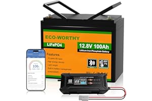 ECO-WORTHY Batterie Lithium 12V 100AH Bluetooth LiFePO4 12V avec Chargeur 12/24 V 20 A, Batterie Protection BMS Basse température pour Camping-Car, Bateau, Caravane
