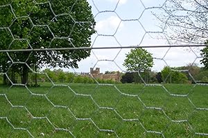 F&G Supplies 50m roll of 1.8cm (6ft) tall heavy duty extra strong 25mm wire mesh - chicken wire