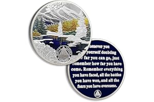ATSKNSK Winter 12 Month Sobriety Chip Twelve Month Sobriety Coins AA Chips and Medallion Serenity Prayer Coin Recovery Anniversary Token Sobriety Gifts for Men Women Alcoholics Anonymous Gift