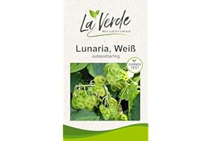 LA VERDE MEIN GARTEN UND ICH. Judassilberling Weiß Blumensamen