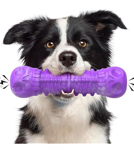 HETOO Hondenspeelgoed voor agressief kauwen, kauwspeelgoed, hond, bijna onverwoestbaar, piepend hondenspeelgoed voor middelgrote honden, robuust, duurzaam rubber hondenspeelgoed (krokodil