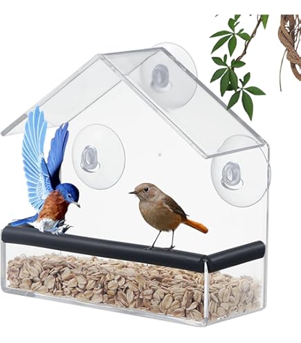 Shudyear Mangeoire à Oiseaux De Fenêtre Pour L'extérieur Avec