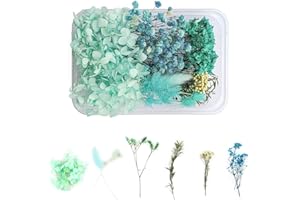 WJIAEER Trockenblumen Zum Basteln Trockenblumen Gepresste Blumen Trockenblumen Deko Getrocknete Blumen(L)