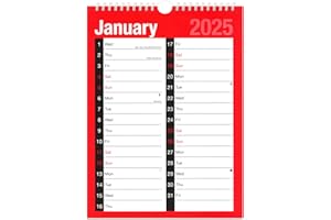 STAR ONLINE 2025 Calendar Month To View A4 Large 2 Column Spiral Bound Wall Planner 120 GSM Paper