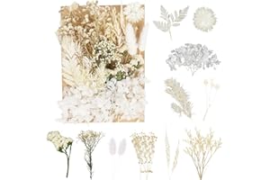 LAUMOE Trockenblumen, Getrocknete Blumen Trockenblumen Set Trockenblumen zum Basteln Trockenblumen Weiß für Epoxidharz Zuhause Hochzeit Ostern Party Dekoration