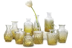 AIMKAP Small Vases 10PCS Mini Vases Glass Flower Vase Small Vases Set Various Sizes for Table Decoration Home Wedding Decoration (10PCS, Green)