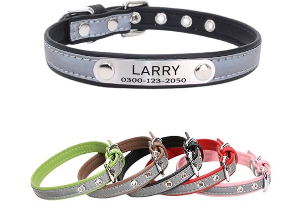 Yonsbox Collier Personnalisé Réfléchissant pour Chiens et Chats avec Plaque Gravée, Collier en Microfibre Durable et Confortable pour Petit Moyen Grand Chien Chat, 6 Tailles (XS-XXL)
