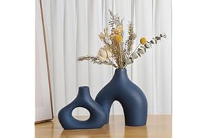 Sawoake Set di 2 vasi in ceramica blu per decorazioni moderne per la casa, rotondi, opachi, per erba della pampa, in stile minimalismo, per soggiorno, matrimonio