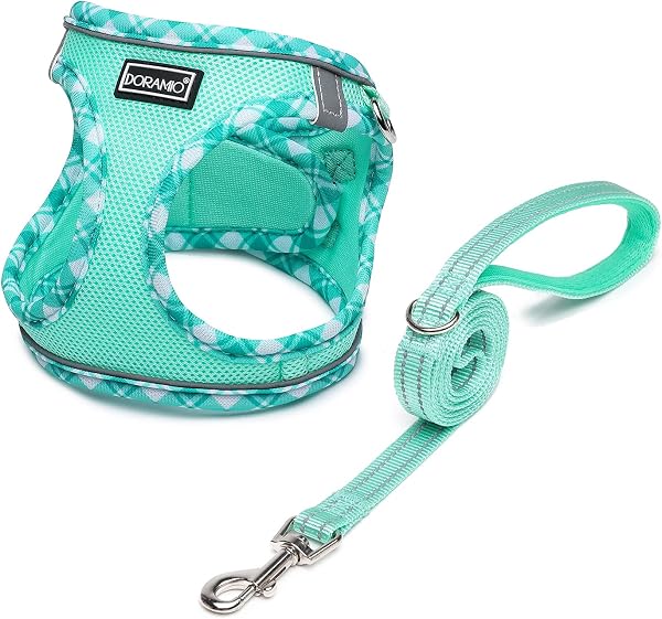 DORAMIO Arnés Perro Pequeños, Arnés Antitirones Reflectante Cómodo Transpirable Arneses Chaleco para Perros Pequeños Gatos, Cachorros (XXS, Verde Claro) - 1