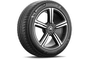 Neumático Verano Michelin Pilot Sport 4 205/55 ZR16 (91Y) BSW