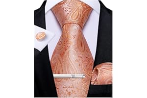 DiBanGu Men's Necktie Handkerchief Silk Paisley Floral Tie Pocket Square Cufflinks Tie Clip Set
