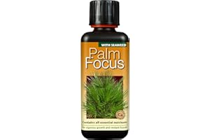 Growth Technology Ltd,Black Palm Focus 300 ml