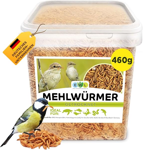 Mehlwürmer getrocknet, Premium Insektensnack Vögel, Fische, Schildkröten, Nager, Igel, Reptilien, Vogelfutter Wildvögel Ganzjährig Eichhörnchen Futter Hamsterfutter Igelfutter 460g (2,5L) - 1