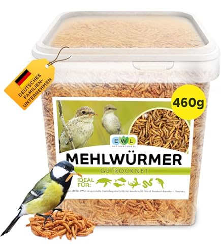 Produktbild von Quailzz Tränke 1,5 L – Mintgrün, Praktischer Bajonettverschluss, Für Wachteln, Hühner, Enten, Gänse & Fasane