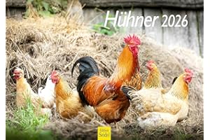 ‎EDITION SEIDEL Edition Seidel Premium Kalender Hühner 2026 Format DIN A3 Wandkalender Tierkalender Hühnerkalender Haustiere Huhn Hahn Küken Vögel