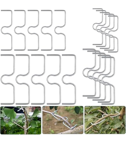 15 Estrattori Per Rami Da Frutta YDHfdc - A Forma Di M, 13cm Per Modellare Alberi - Foto 7
