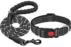 haapaw Collare Riflettente per Cani con Morbido Neoprene Traspirante Regolabile Collari in Nylon Per Cani Piccoli Medi Grandi