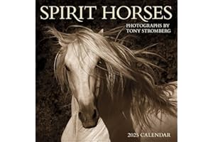 Spirit Horses 2025 Wall Calendar by Tony Stromberg