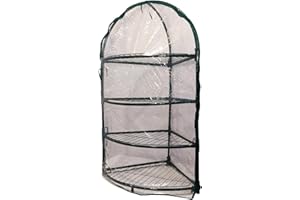 N.G. NICCOLAI SERRA ANGOLARE 4 RIPIANI 60X60X150 CM CON TELO PVC TRASPARENTE E STRUTTURA IN METALLO VERNICIATA VERDE