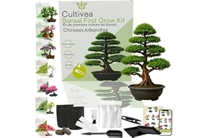 Cultivea Kit First Bonsai – Kompletta Set med Frön, Tillbehör och Guide – Bonsai att Odla