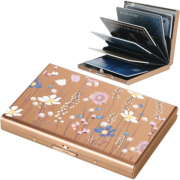 HAFEID Étui pour Cartes de Crédit avec Protection RFID - Mini Portefeuille en Métal - Porte-monnaie pour Homme et Femme