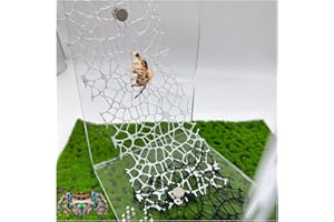 Okueejur 6 PCS Jumping Spider Habitat Accessories Spider Webbed Moss Ribbon with Magnets for Spoods Enclosure Spoods Climbing (Black+White)