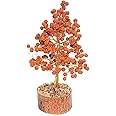 Energised 5 Mukhi Rudraksha Tree | Rudraksha Tree for Good Luck, Health, Wealth, Prosperity and Spiritual Bliss