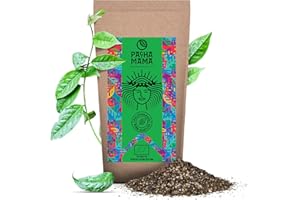 Guayusa Pachamama Pure 0,1 kg | Bio-Ilex Guayusa aus Ecuador 100 g | Kraft des natürlichen Koffeins | Ohne Zusatzstoffe | Cousine des Mate Tees | Milder Geschmack | Alternative für Kaffee