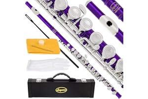 Lazarro Professional Purple-Silver Closed Hole C Flute for Band, Orchestra, with Case, Care Kit and Warranty, 120-PR