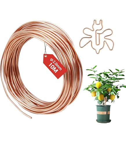 QWORK® Fil De Cuivre Pur 99,9% - Diamètre 0,3 Mm X 100 M | Parfait Pour Bricolage électrique, Moteurs Et Créations Artisanales - 4