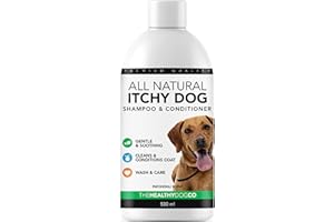 THE HEALTHY DOG CO Shampooing Anti-Démangeaisons, Revitalisant et Hydratant pour Chiens | 100% Naturel | Patchouli 500ml | Soin Cutané Anti-Démangeaisons | Apaise Les Démangeaisons pour Animal de Compagnie