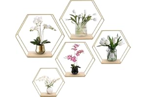 PANTHEM Sześciokątny regał ścienny, metalowy, zestaw 5 sztuk, złoty, dekoracyjny regał wiszący, regał ścienny, regał ścienny do salonu, sypialni, łazienki, kawiarni i hotelu
