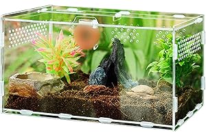 Braleto Terrario Rettili Scatola di Alimentazione in Acrilico per Insetti Ragni Lucertole Rana Cornuta Scorpione Millepiedi Scarabeo (30cm*20cm*15cm)