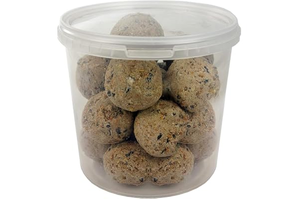 Boules de Graisse GardenersDream - Friandises énergétiques pour Oiseaux Sauvages (2.5L)